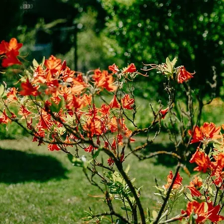 Harztor * Nordhausen