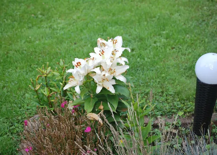 Harztor * Nordhausen