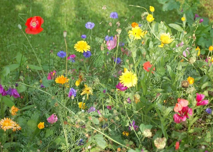 Harztor Dom wakacyjny