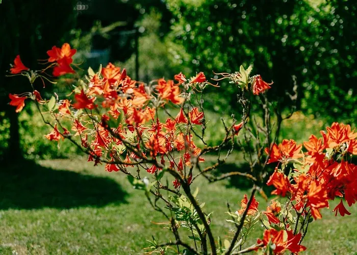 Harztor * Nordhausen